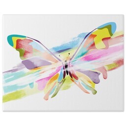 8x10 Gallery Wrap Photo Canvas with Colorfly Butterfly design