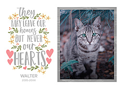 5x7 Greeting Card, Glossy, Blank Envelope with Always in Our Hearts design