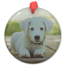 Circle Acrylic Ornament with Full Photo design