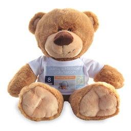 Photo Teddy Bear with Blue Facts design
