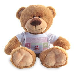 Photo Teddy Bear with Pink Facts design